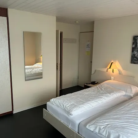 Strandhotel Seeblick 3* Faulensee