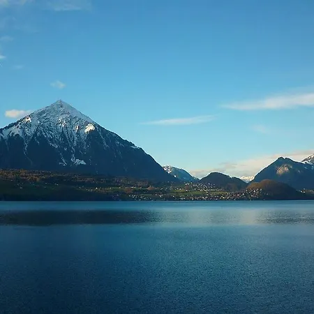 Strandhotel Seeblick Hotel Faulensee