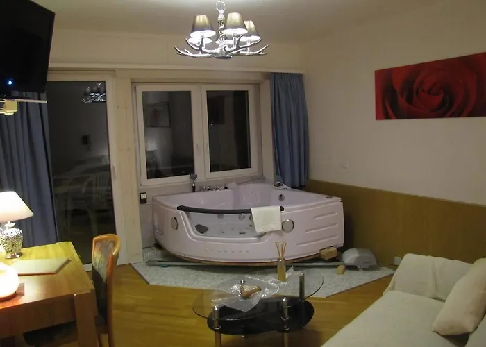 西布里克海滩酒店 3* 法伦湖