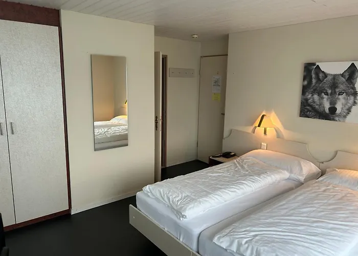 Strandhotel Seeblick 3* Faulensee